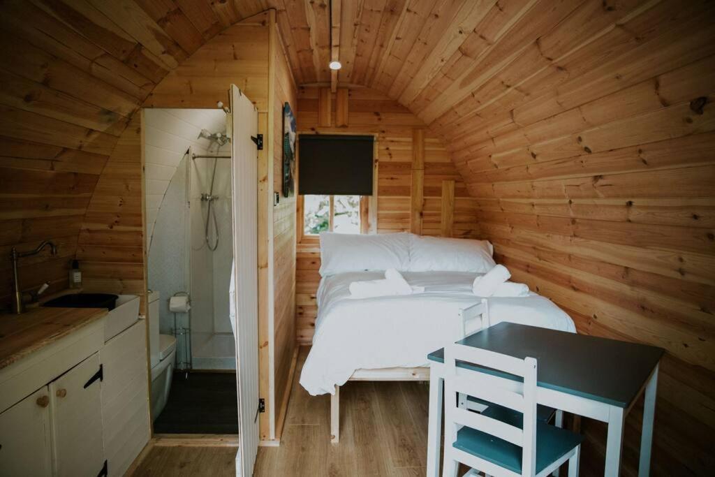 Pine Cosy Winter Cabin - Hot Tub & Log Burner Leilighet Barmouth Eksteriør bilde