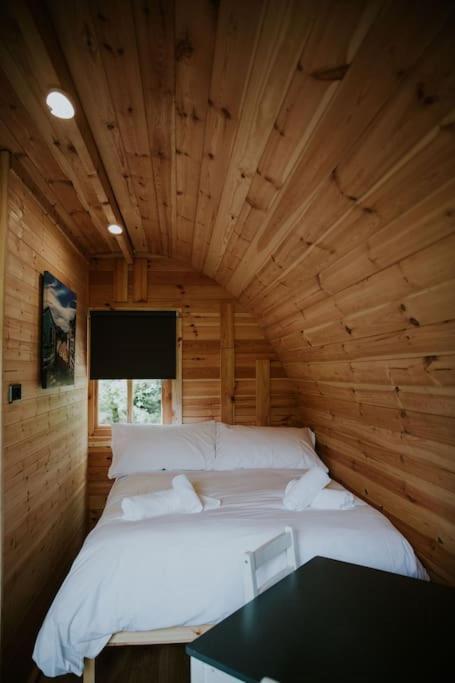 Pine Cosy Winter Cabin - Hot Tub & Log Burner Leilighet Barmouth Eksteriør bilde
